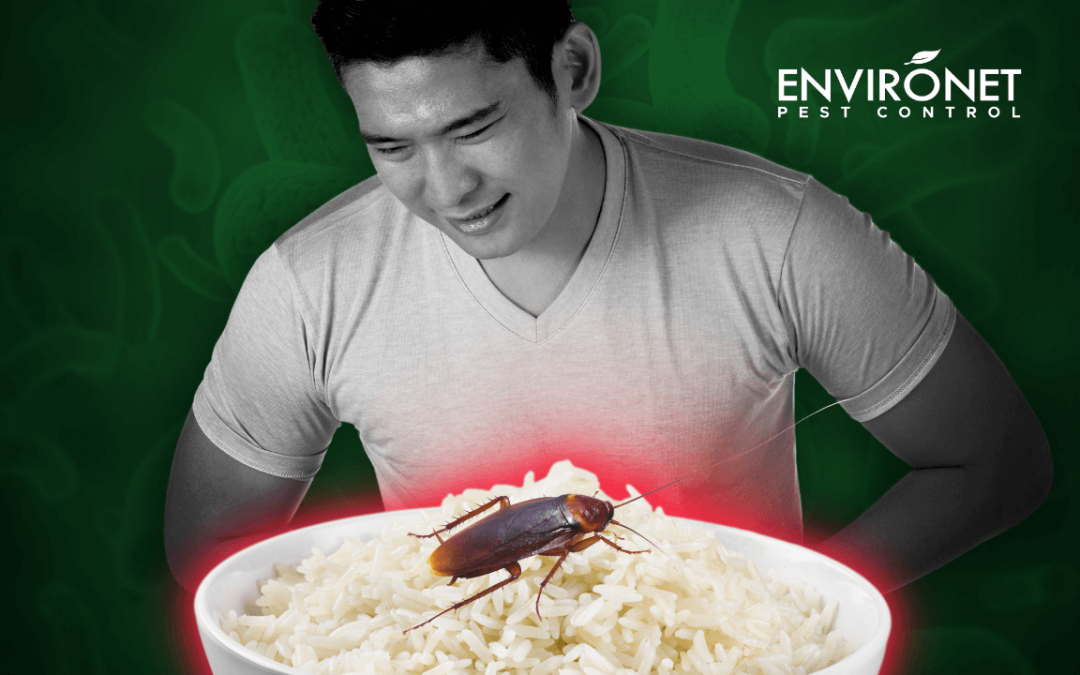Food Poisoning Caused by Pests