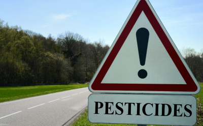 Are Pest Control Chemicals Safe? The Definitive Guide to Responsible Use