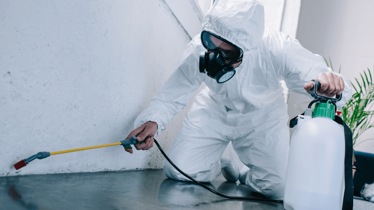 image of a workplace spraying pesticides on the floor of a property
