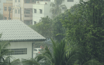 How to Keep Pests Away During the Rainy Seasons