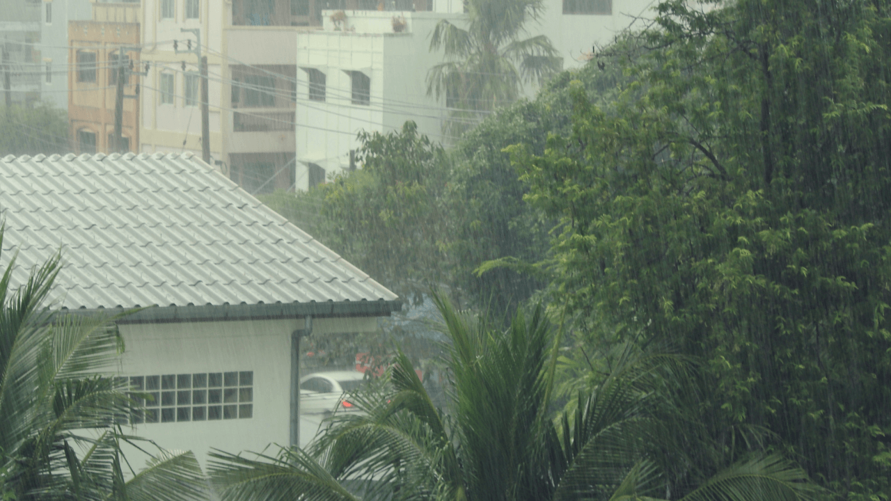 soft-focus, rains in the city feel the moist 