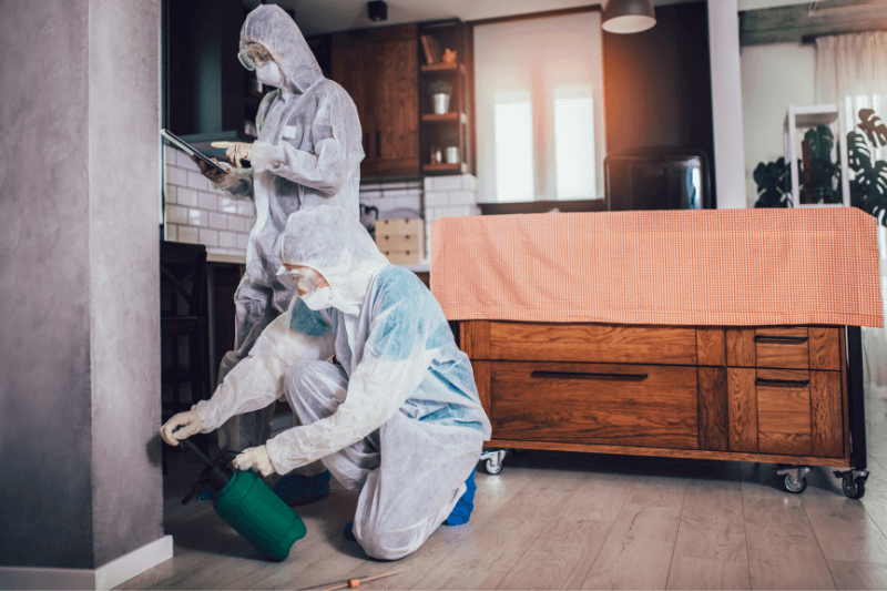 specialists in protective suits spraying insecticides on an apartment
