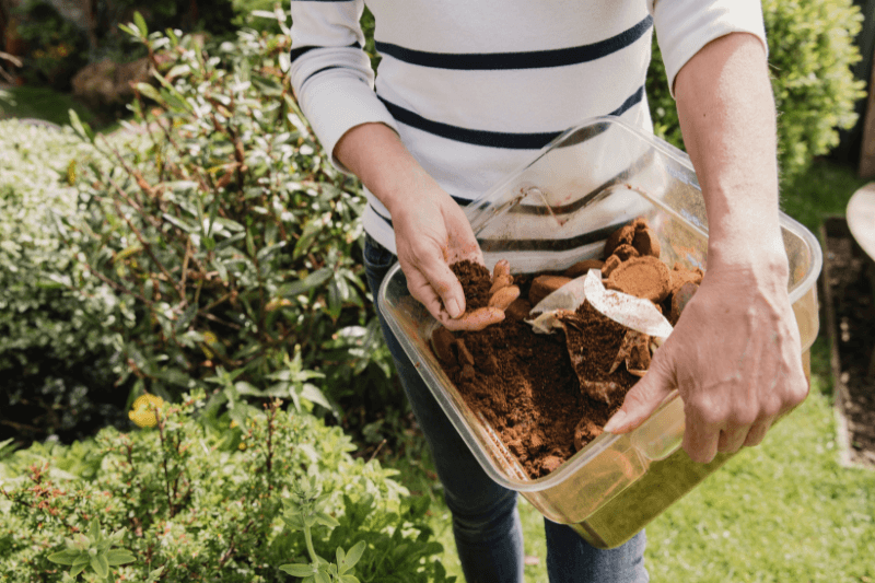 a woman in casual outfit spreading coffee grounds in her garden - Natural Ways to Get Rid of Ants