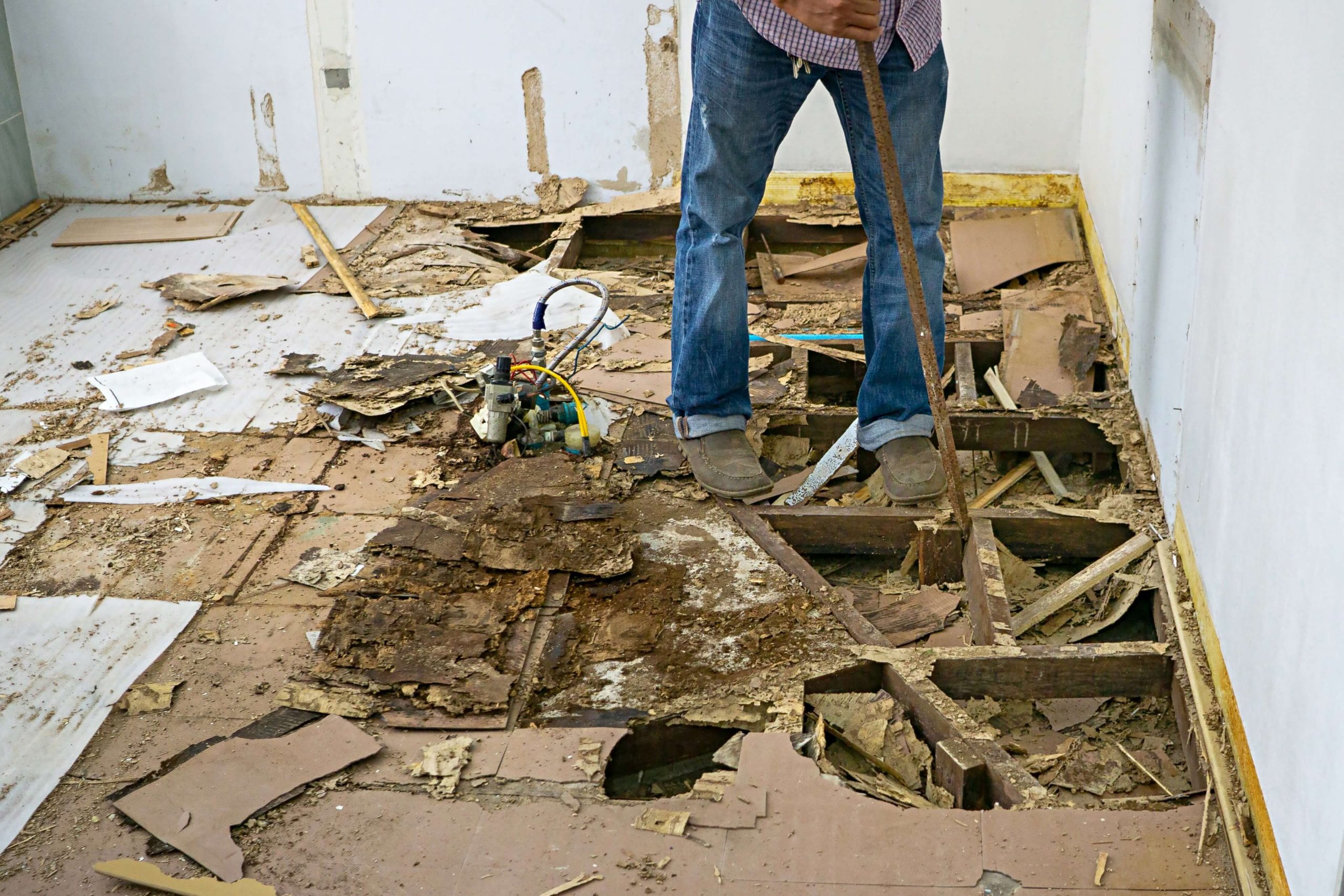 a pest control technician checking the wooden floor due to termite damage - How to protect your home from termite damage