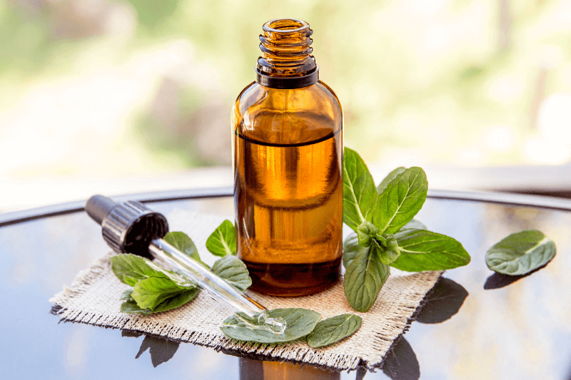 a peppermint essential oil - Natural Ways to Get Rid of Ants