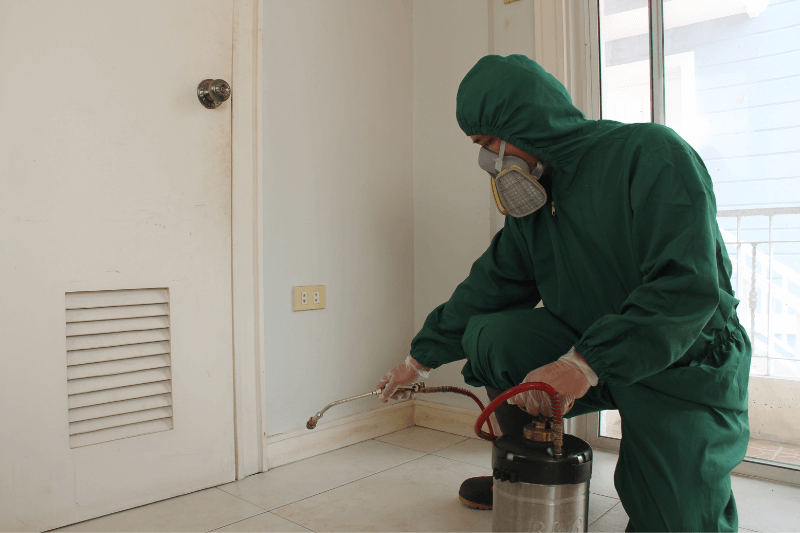 a pest control technician doing surface spraying to eliminate pest infestations - Why Pest Control Should Be a Part of Your Commercial Cleaning Routine
