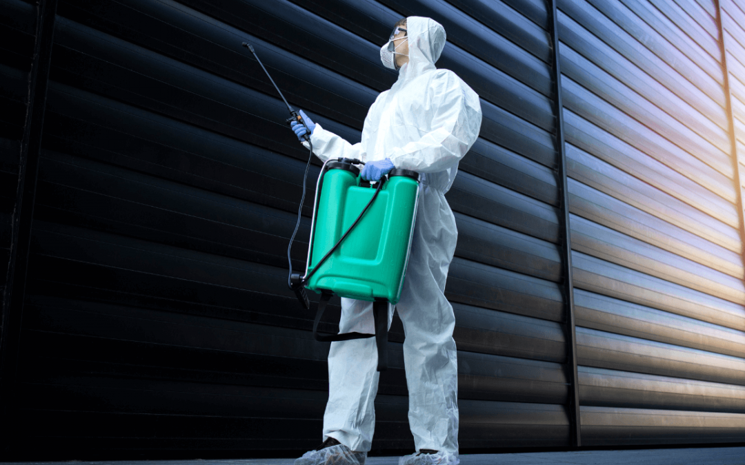 The Hidden Costs of Ignoring Pest Control in Your Commercial Space