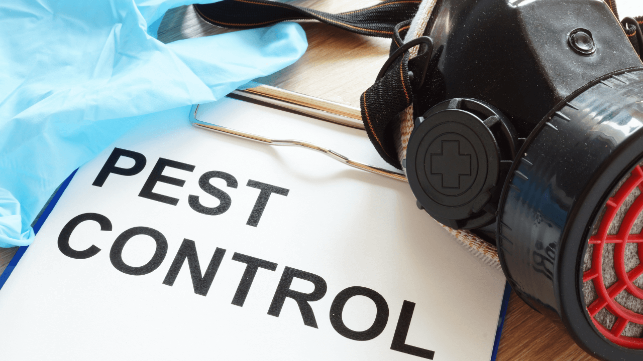 a close up of a safety equipment for pest control myths