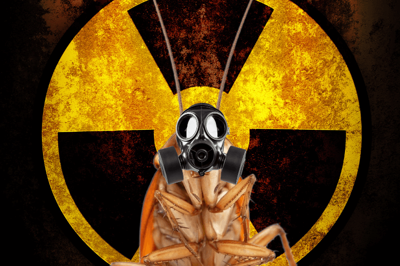 a roach wearing a gas mask for cockroach facts