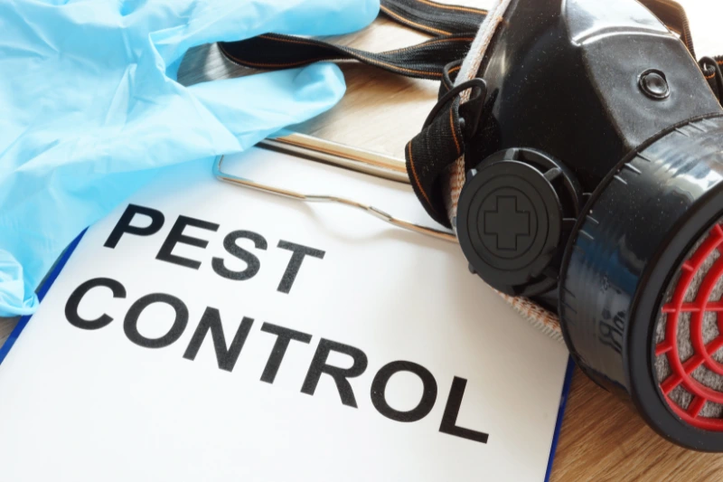Start the Year Right: Your Easy Guide to a New Year 2024_Pest control. Clipboard, respirator and gloves.