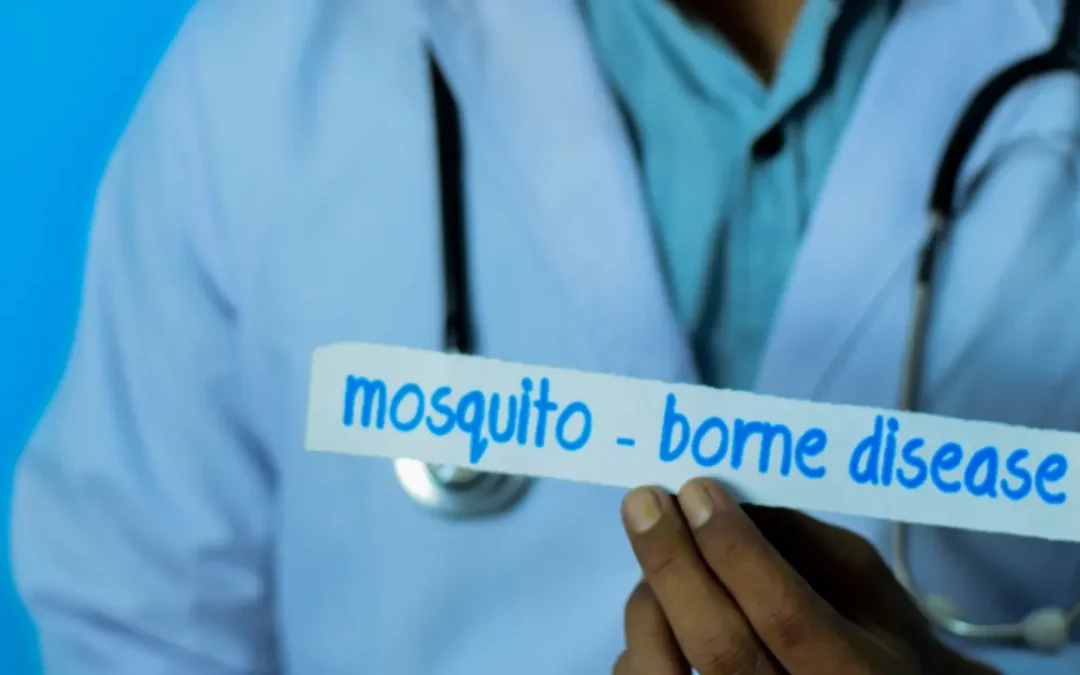 Mosquito-borne Diseases in the Philippines