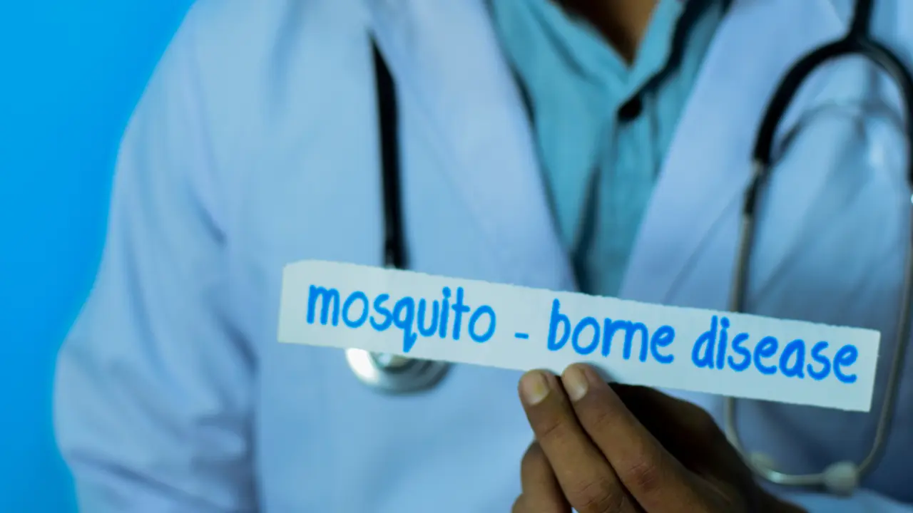 a doctor holding a sign of "mosquito-borne diseases"