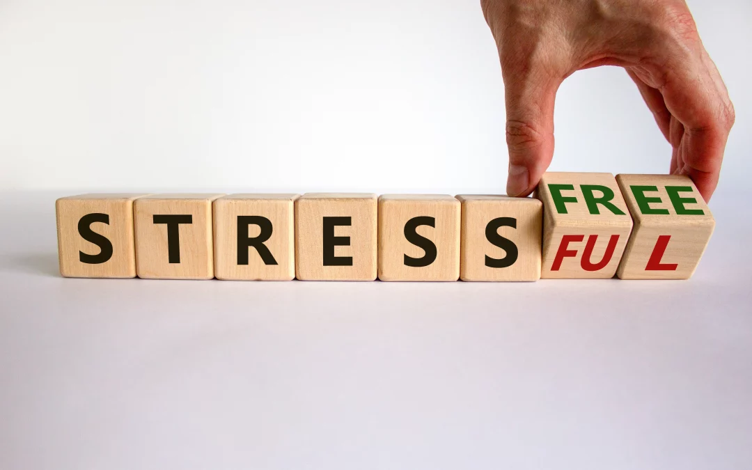 Stress-Free Life: How Our Services Bring Peace of Mind