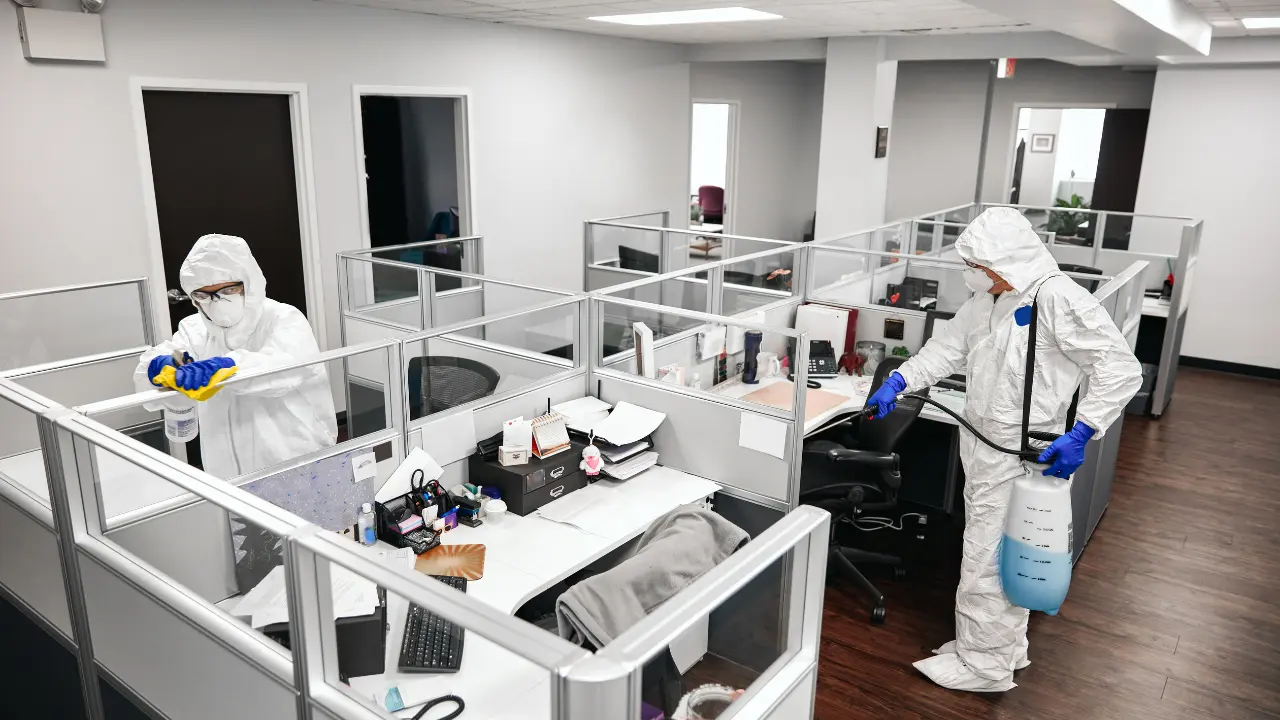 A photo of two technicians cleaning and treating bed bugs in the office