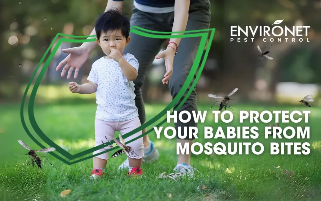 How to Protect Your Babies from Mosquito Bites?