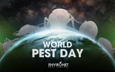 Celebrating World Pest Day – June 6, 2024