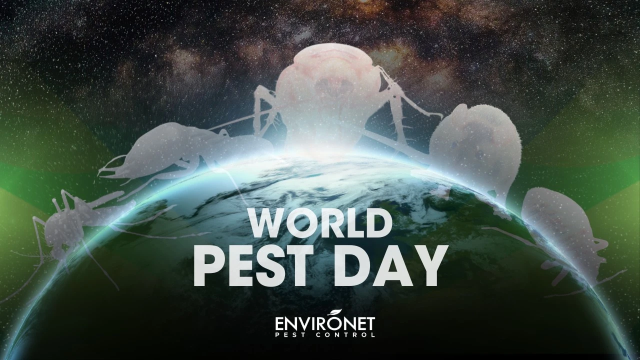 World Pest Day