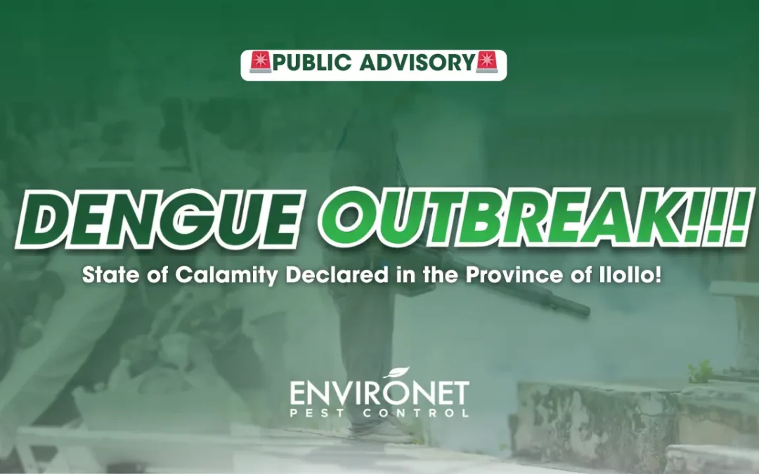 Dengue Outbreak in Iloilo as of August 2024