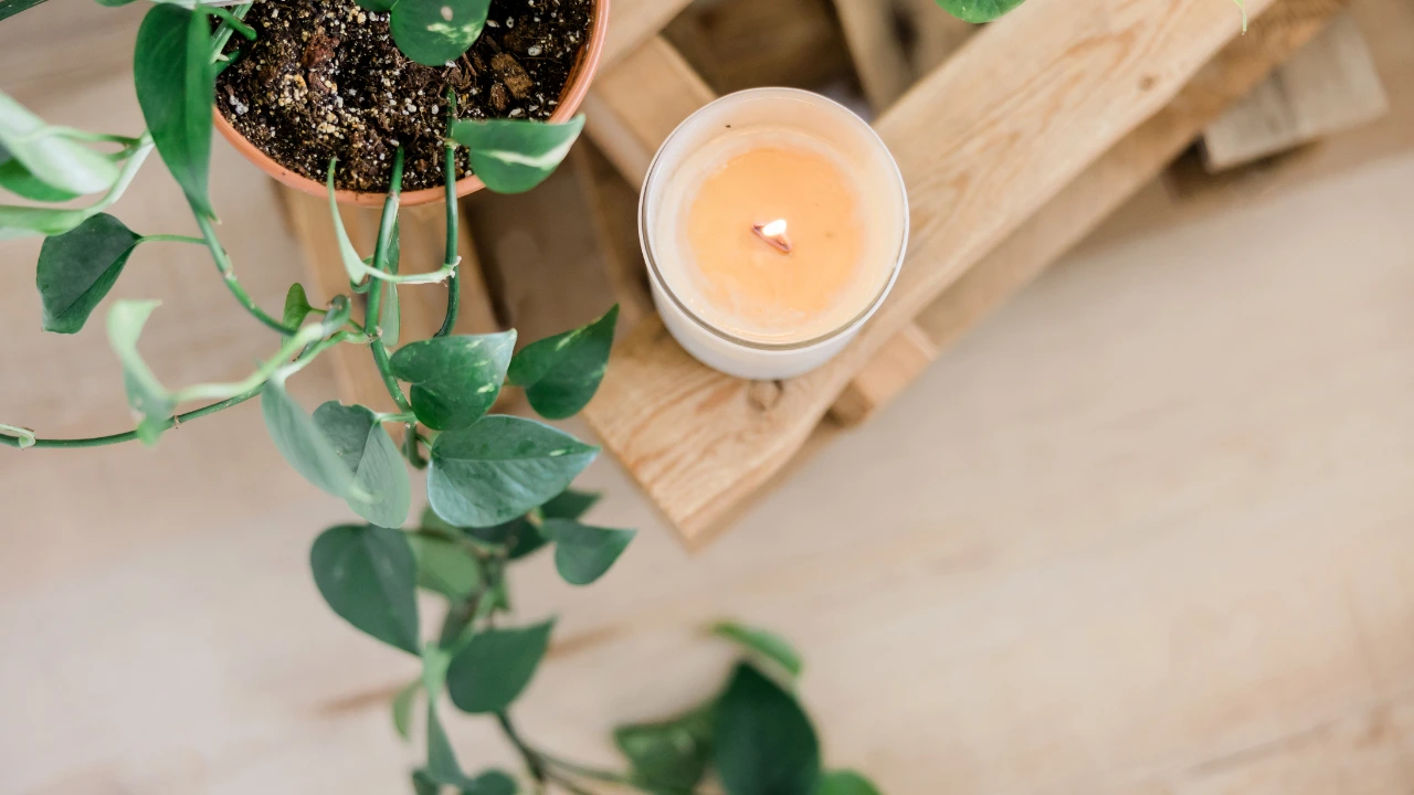 A serene wooden table featuring a candle and a plant, representing the connection between pest control and well-being.