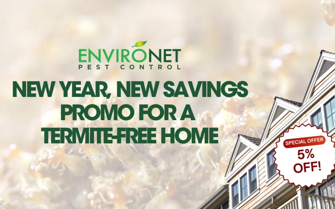 New Year, New Savings Promo for a Termite-Free Home