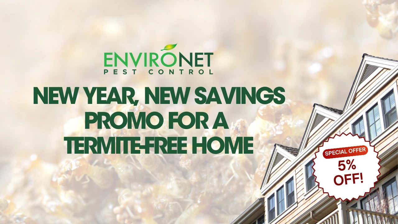 January Promo 2025 by Environet Pest Control