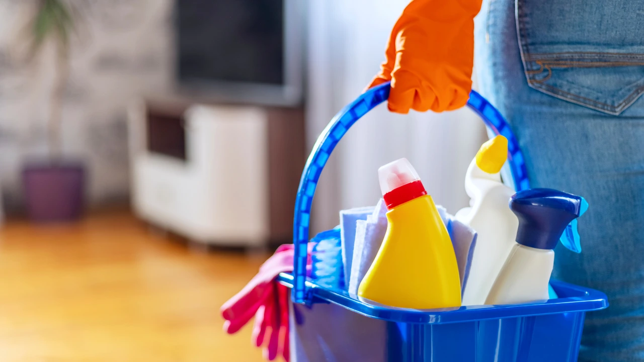 Individual grasping a bucket of cleaning supplies, representing the importance of cleanliness in preventing pest issues.