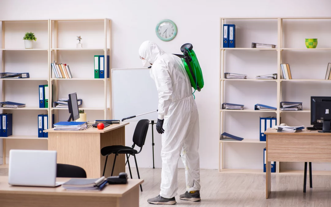 Office Pests: A Guide to Workplace Pest Prevention