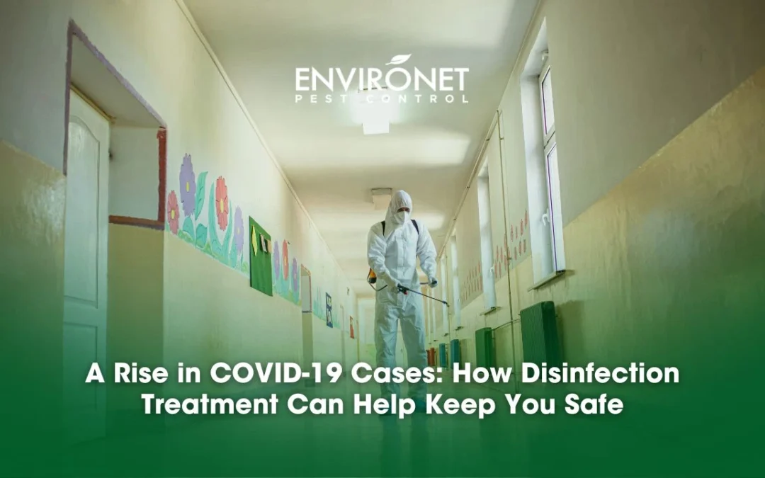 A Rise in COVID-19 Cases: How Disinfection Treatment Can Help Keep You Safe