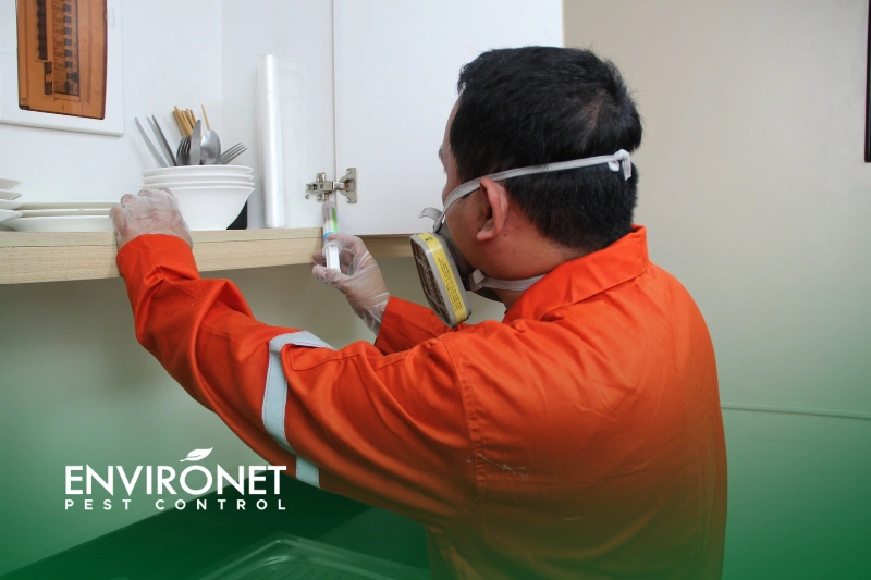 Baiting a pest control technician doing gel baiting to treat pest infestations - Why Pest Control Should Be a Part of Your Commercial Cleaning Routine
