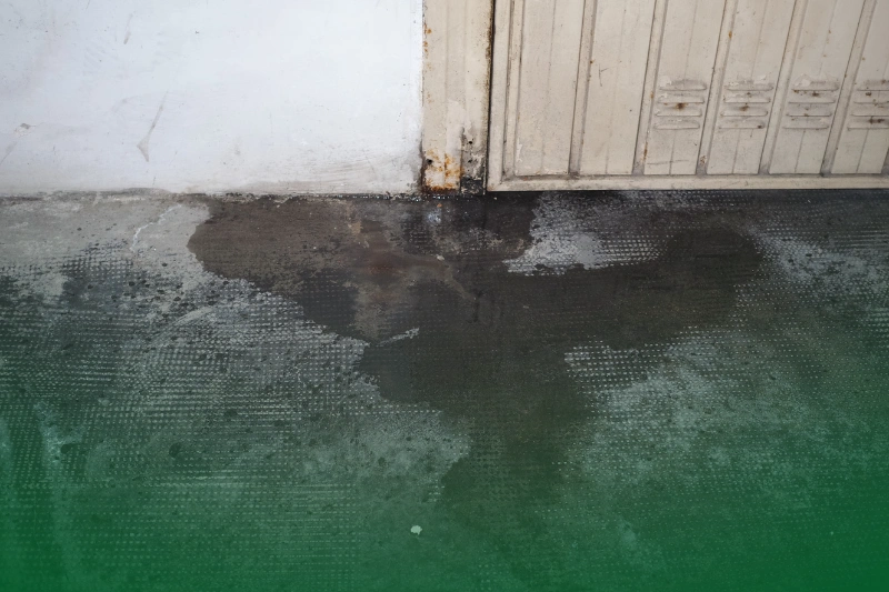 Dampness and Moisture damage caused by dampness and moisture on garage door