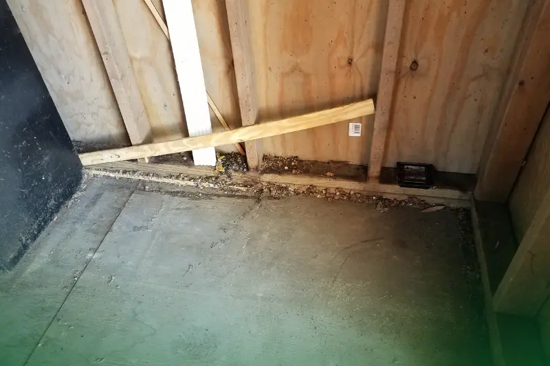 Droppings and Tracks pest droppings