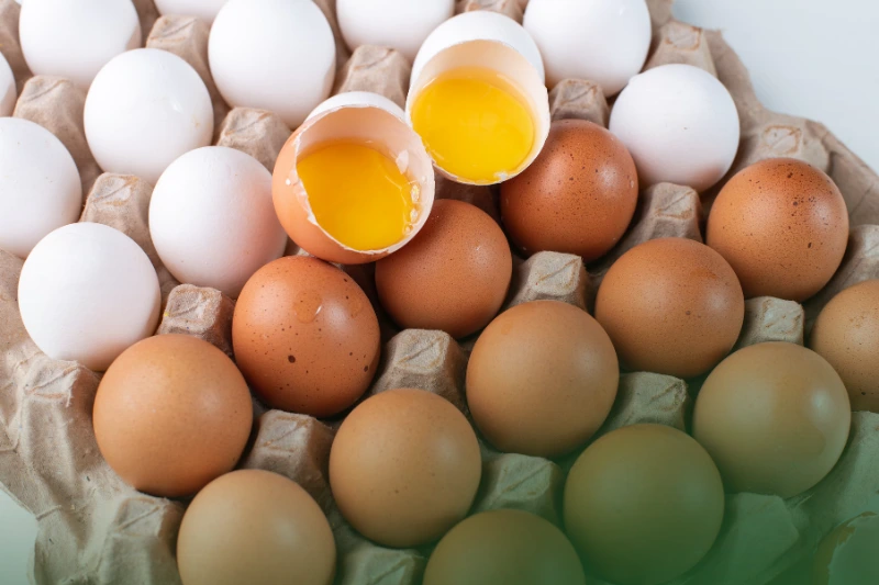 fresh eggs