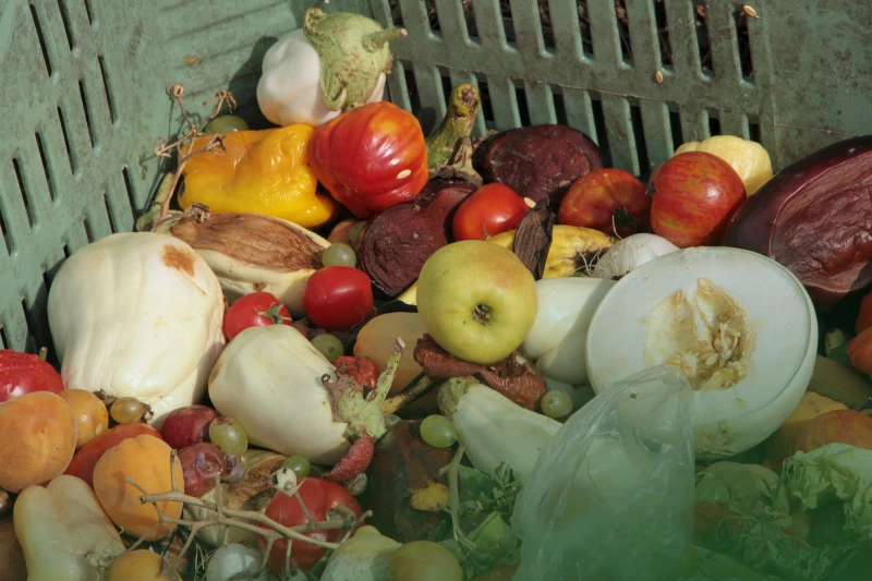 fruits and vegetables
