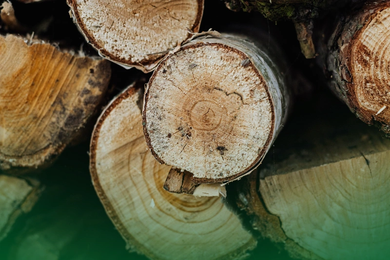 Keep Wood Away from Home's Foundation pile of firewoods - How to protect your home from termite damage