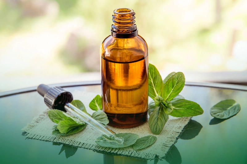 Peppermint Power a peppermint essential oil - Natural Ways to Get Rid of Ants
