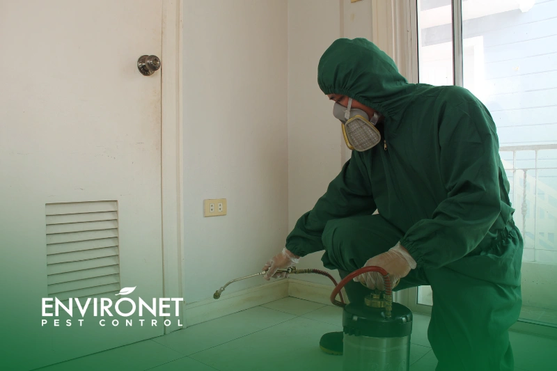Spraying & Misting a pest control technician doing surface spraying to eliminate pest infestations - Why Pest Control Should Be a Part of Your Commercial Cleaning Routine