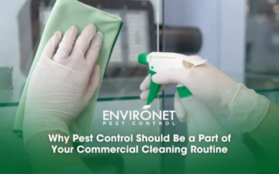 Why Pest Control Should Be a Part of Your Commercial Cleaning Routine