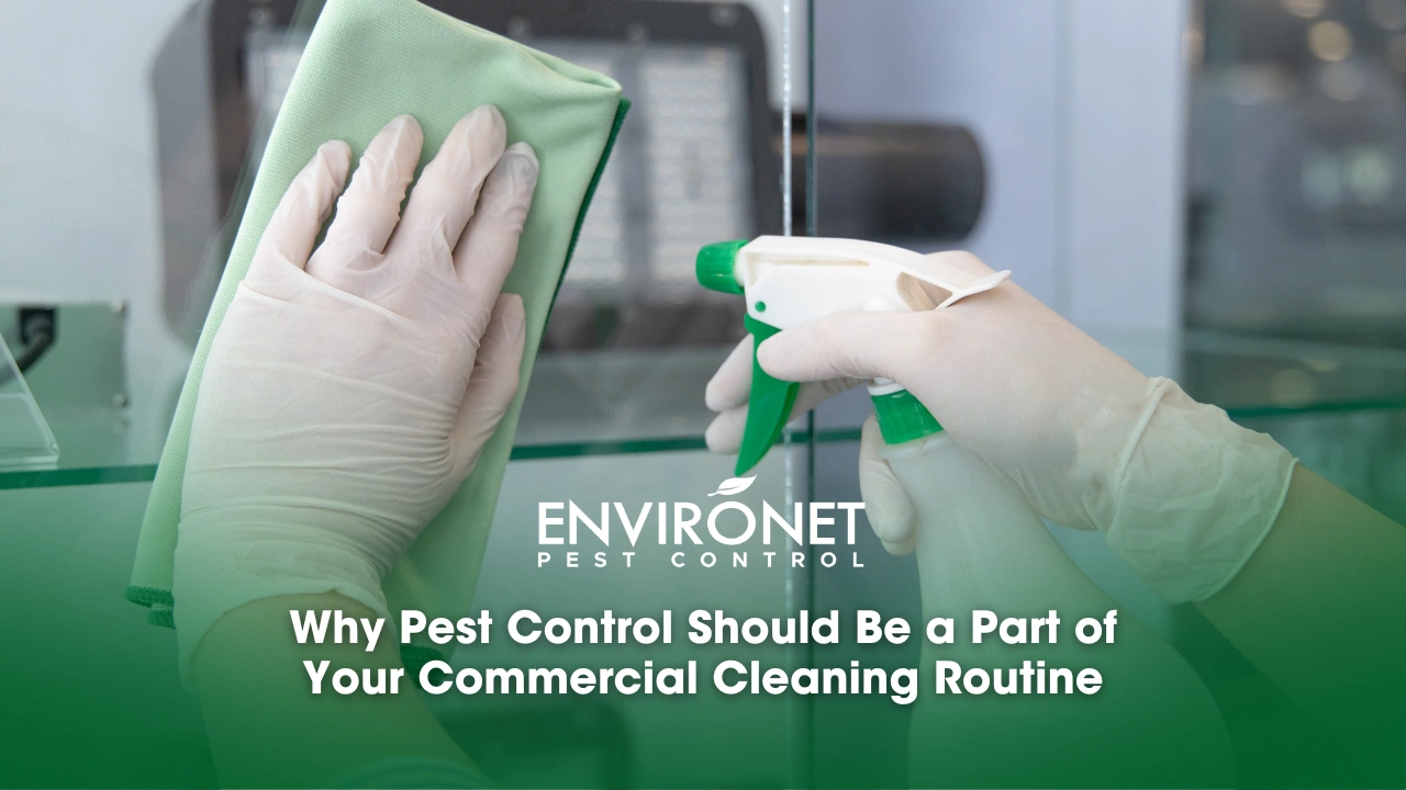 Why Pest Control Should Be a Part of Your Commercial Cleaning Routine cleaning staff operator injects disinfectant and use a cloth to wipe it