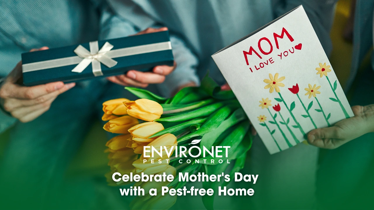 Celebrate Mother's Day with a Pest-free Home celebrating mother's day with gifts and flowers.