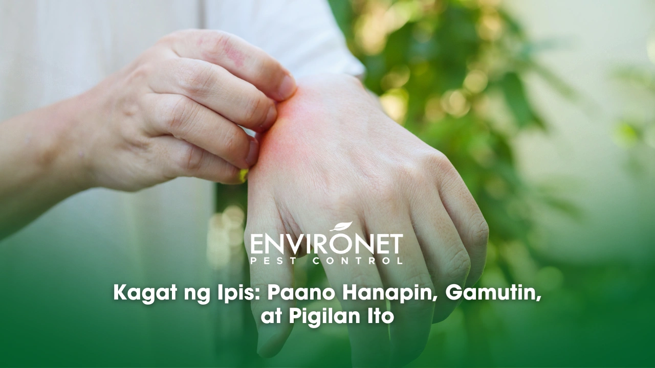 Kagat ng Ipis Paano Hanapin, Gamutin, at Pigilan Ito man itching and scratching on hand from allergy skin reaction or from kagat ng ipis