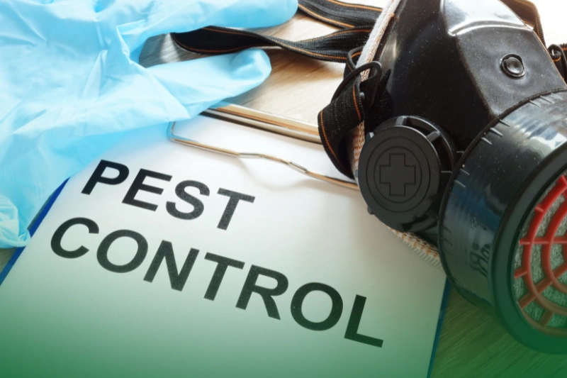 Keep Pests Out_ Advice from Pest Busters Start the Year Right: Your Easy Guide to a New Year 2024_Pest control. Clipboard, respirator and gloves.