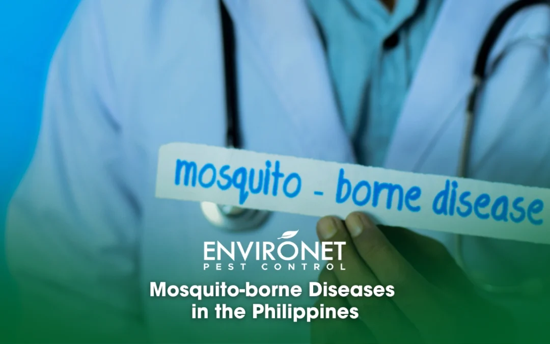 Mosquito-borne Diseases in the Philippines