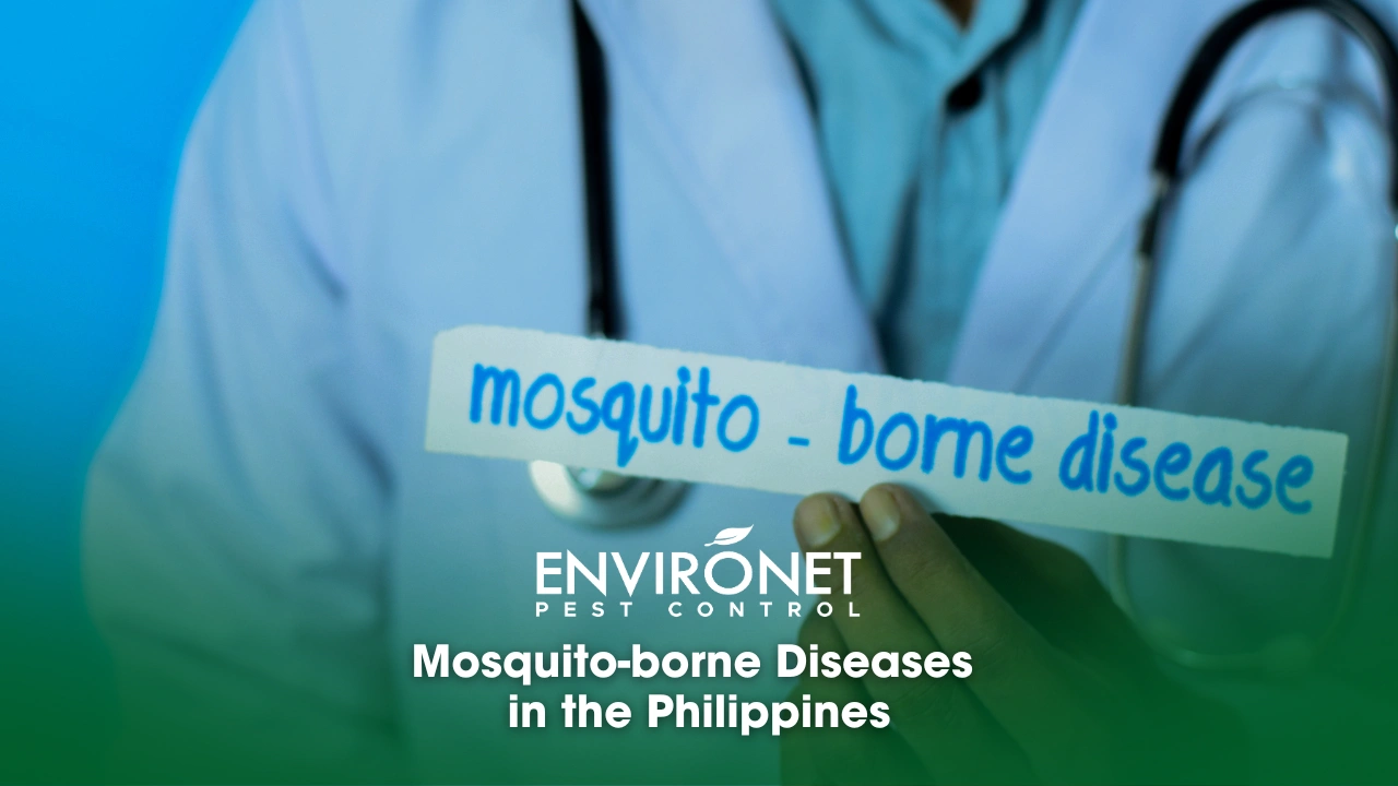 Mosquito-borne Diseases in the Philippines a doctor holding a sign of "mosquito-borne diseases"