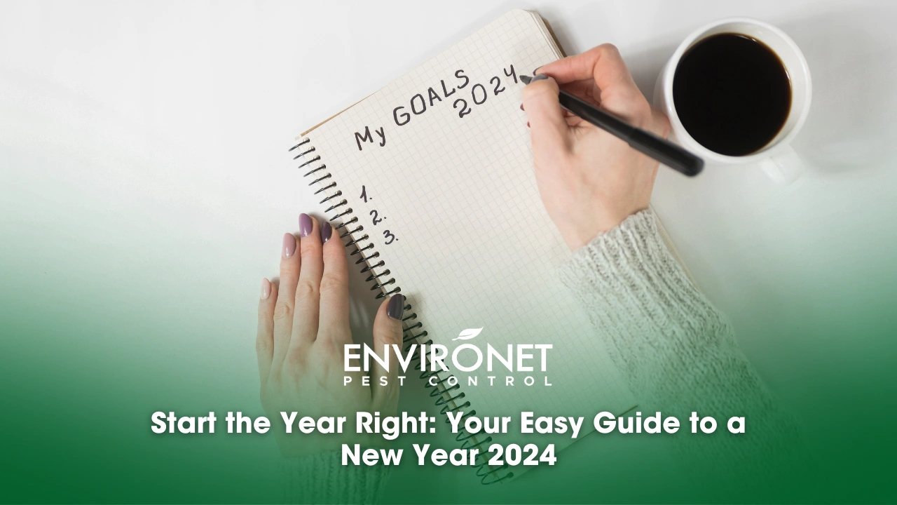Start the Year Right Your Easy Guide to a New Year 2024 Start the Year Right: Your Easy Guide to a New Year 2024 Female Hands writing here goals this 2024