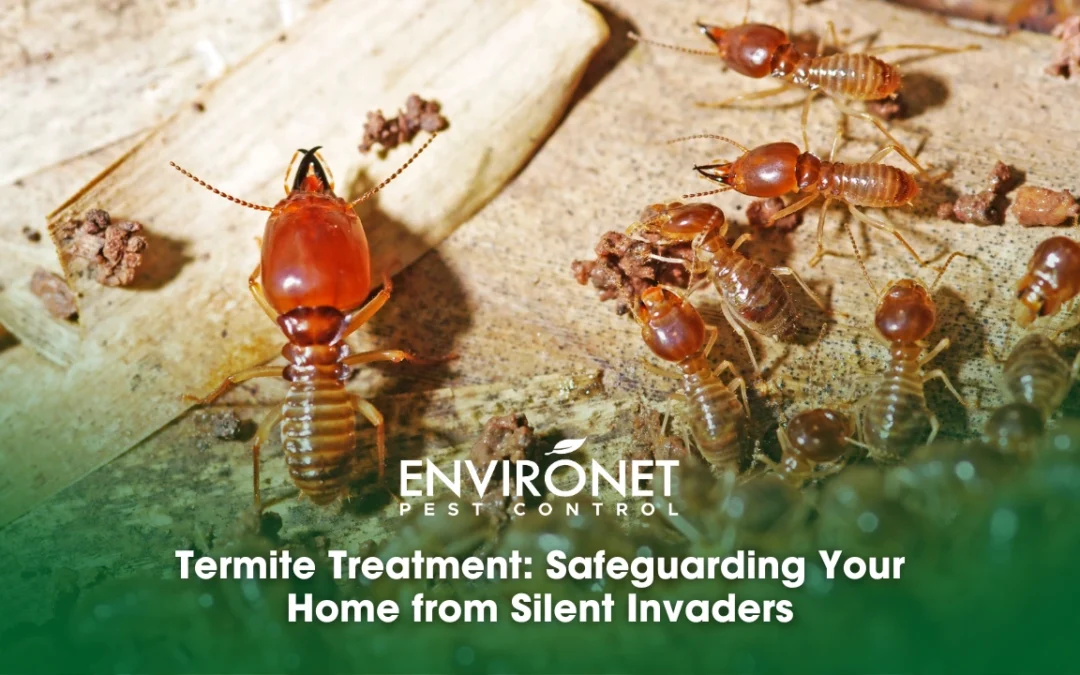 Termite Treatment: Safeguard Your Home from Silent Invaders
