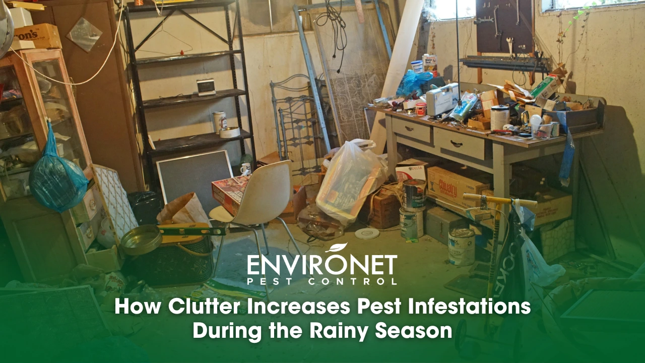 Cluttered space illustrating how disorganization attracts pests and increases the risk of infestations