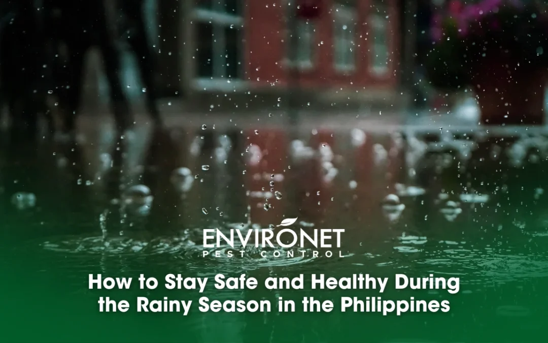 How to Stay Safe and Healthy During the Rainy Season in the Philippines