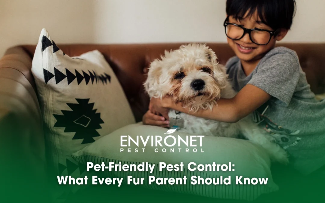 Pet-Friendly Pest Control: What Every Fur Parent Should Know