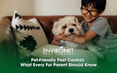 Pet-Friendly Pest Control: What Every Fur Parent Should Know