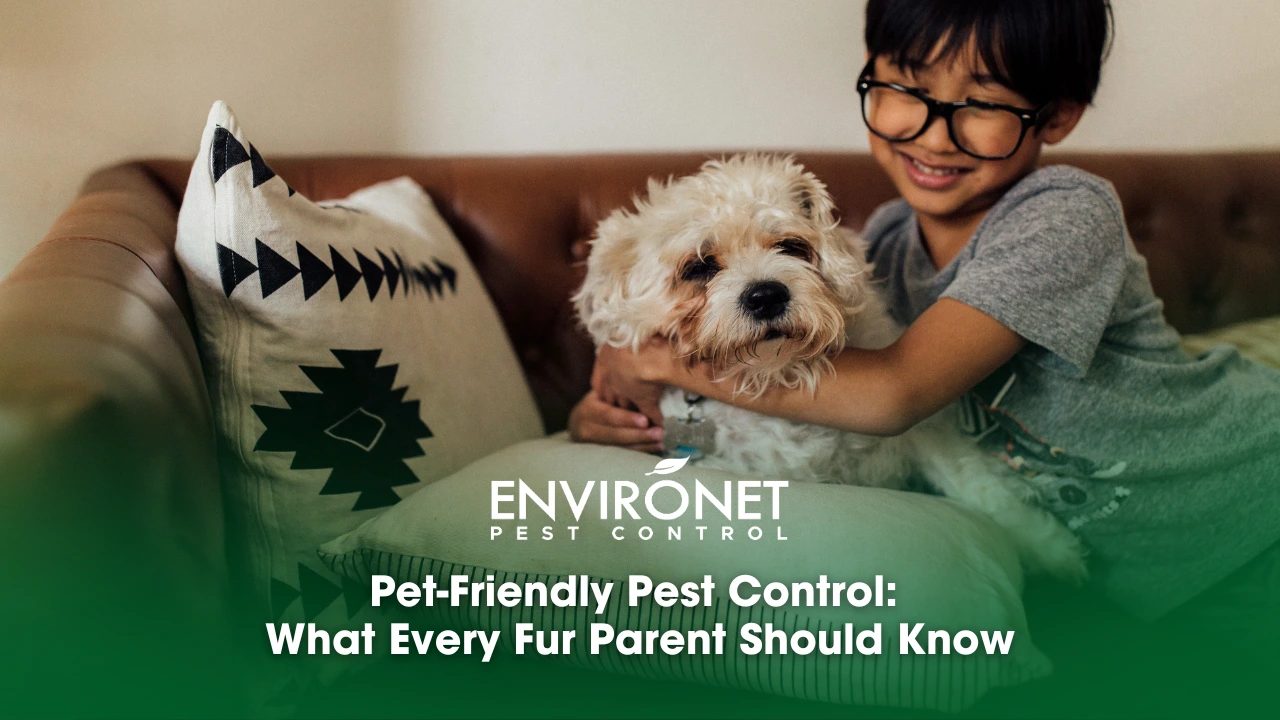 Pet-Friendly Pest Control What Every Fur Parent Should Know cute pet at home